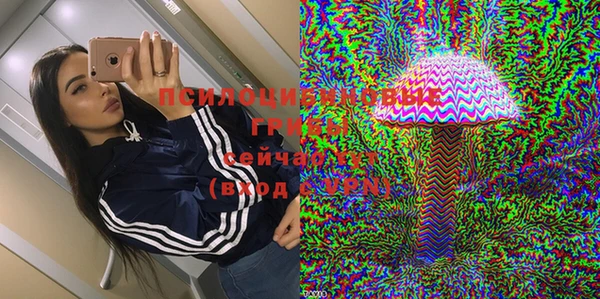 бошки Богданович