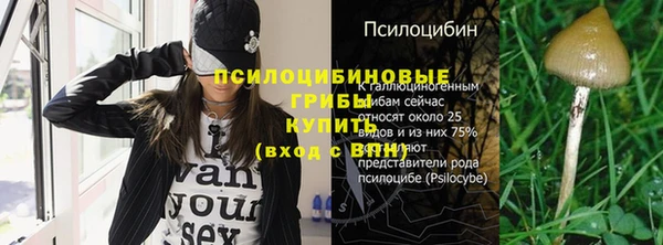 бошки Богданович