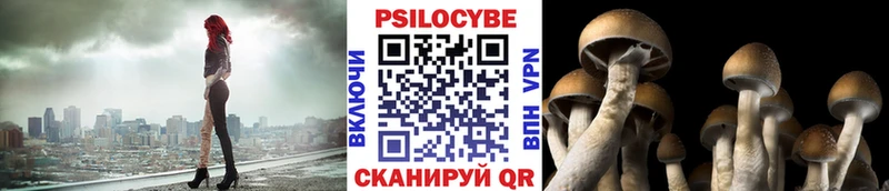 Галлюциногенные грибы Psilocybe Мезень